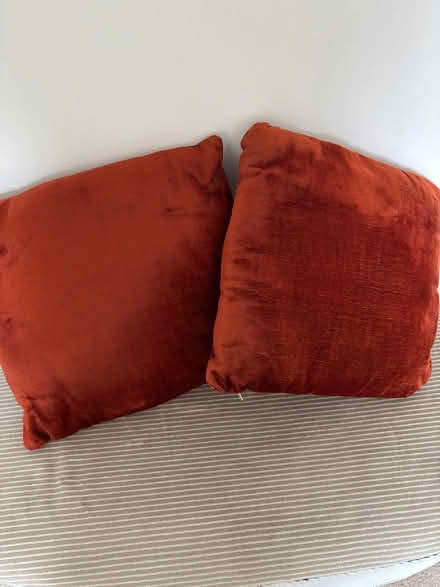 Photo of free Cushions (Bexleyheath DA6) #1