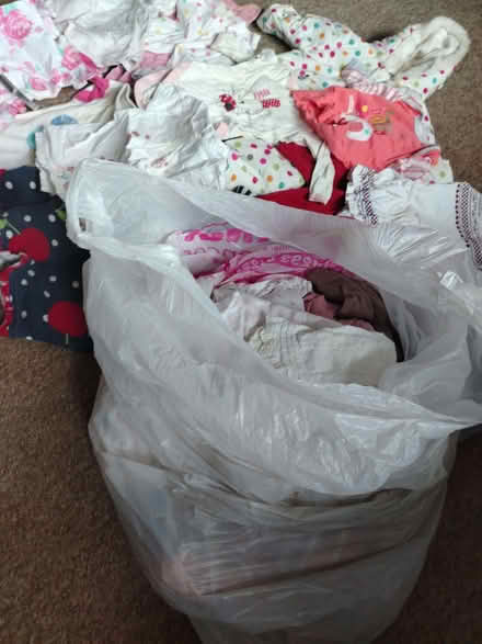 Photo of free Big bag baby girl clothes 3-6m (Northcourt OX14) #2