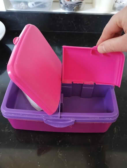 Photo of free Lunch boxes (Shalford GU4) #3