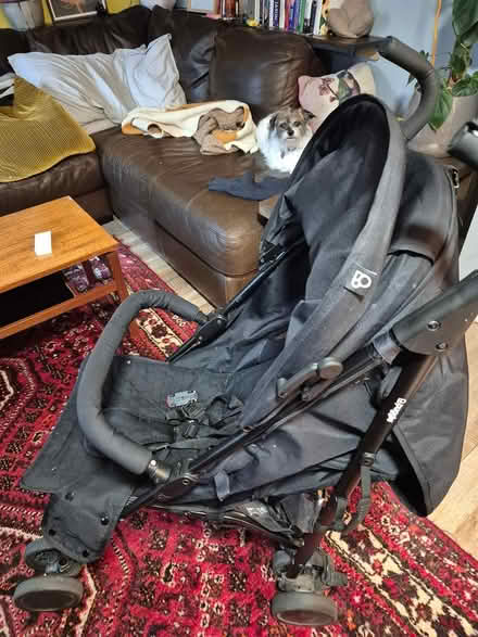 Photo of free My neighbor has just popped this in (Rm3 0gd) #2