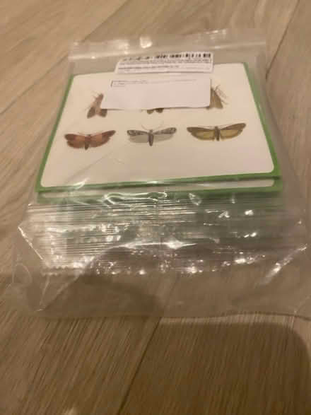 Photo of free Sticky moth traps (OX3 Headington) #1