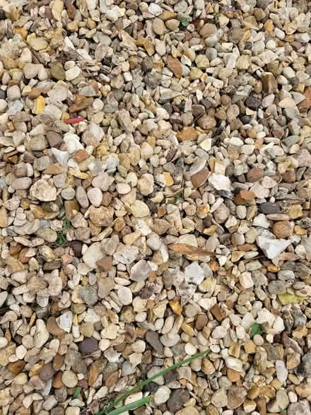 Photo of free Garden gravel pebbles mixed colours (letchworth garden city) #1