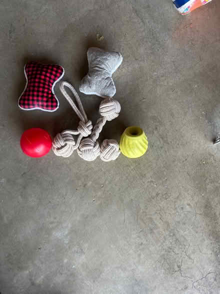 Photo of free Dog toys (Torrance 90501 near Hull MS) #1
