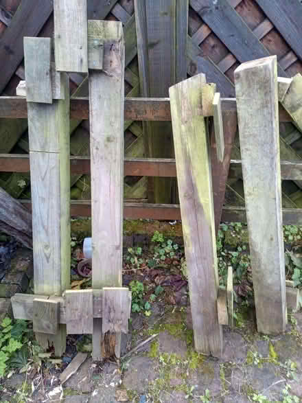 Photo of free Firewood (Askham CA10) #1
