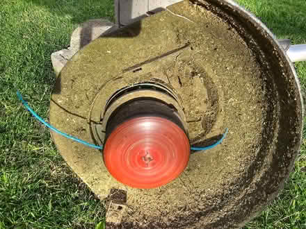 Photo of free Bosch Lawn strimmer (Hinderwell TS13) #1