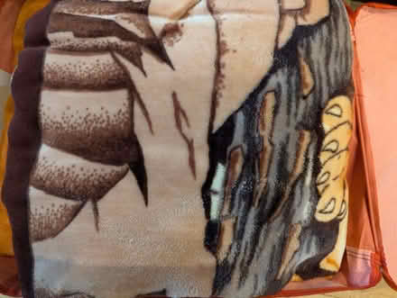 Photo of free Warm blanket (Forest Hill) #1