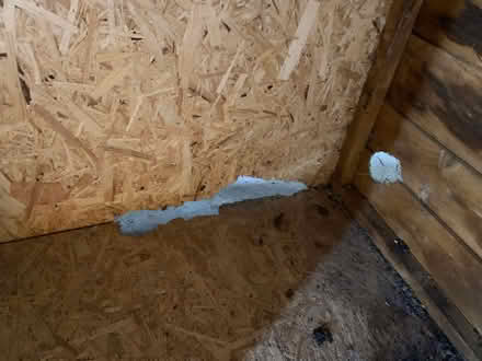 Photo of free Garden Shed (Pipe Aston SY8) #2