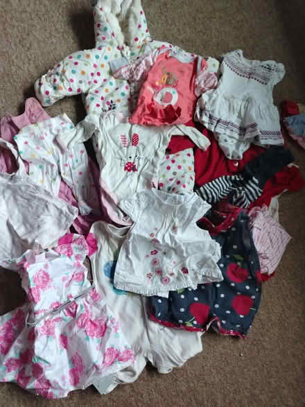 Photo of free Big bag baby girl clothes 3-6m (Northcourt OX14) #1