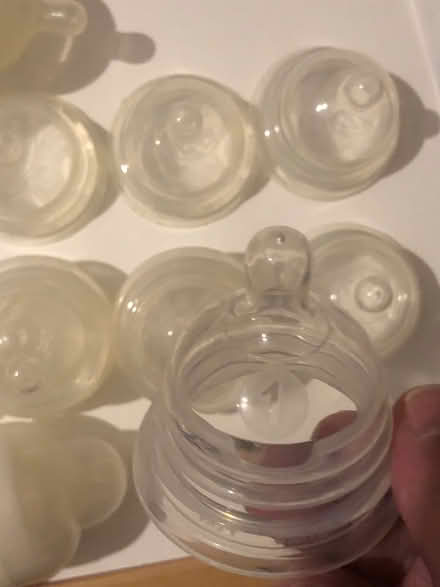 Photo of free Munchkin latch teats (Edmonton, N18) #2