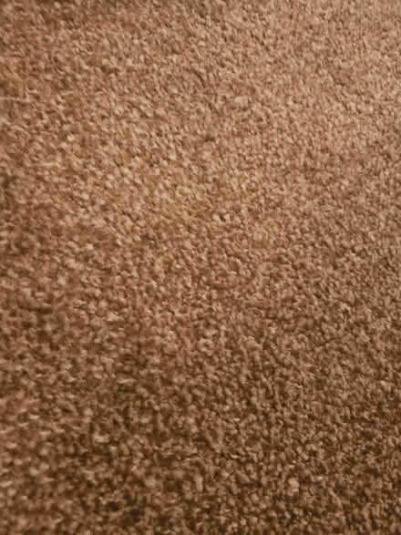 Photo of free Large carpet (Handsworth) #2