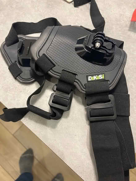 Photo of free GoPro type harness for dogs (Cambridgeport) #1
