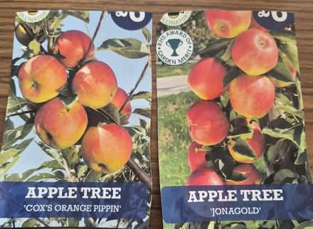 Photo of free Apple trees Jonagold and Cox Orange Pippin (Norcot RG30) #1