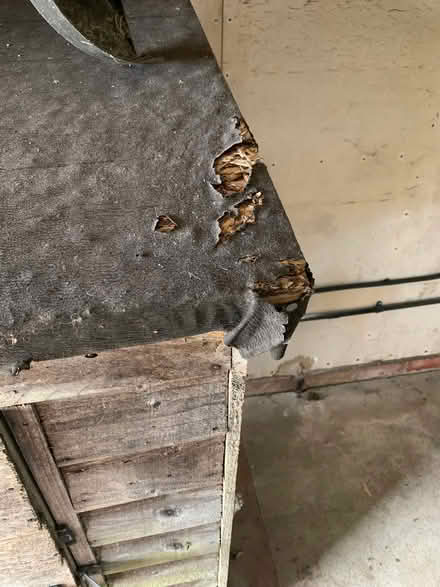 Photo of free Garden Shed (Pipe Aston SY8) #4