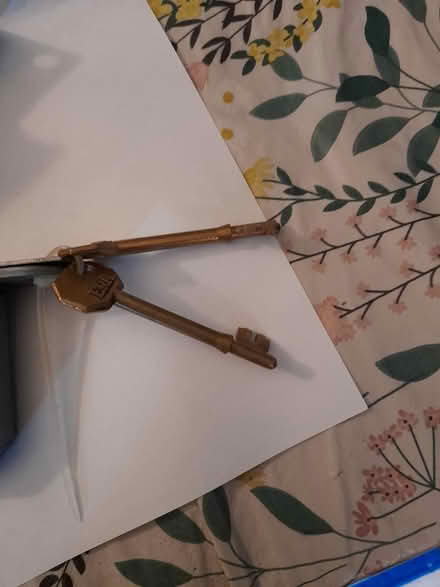 Photo of free Door lock - mortise dead lock (SN1 old town swindon) #2