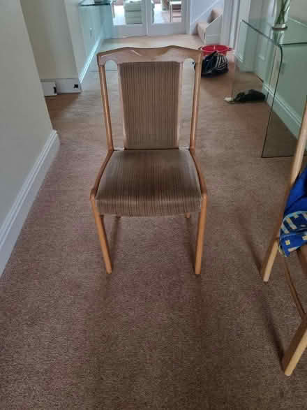 Photo of free 2 dining chairs (Kippington TN13) #1