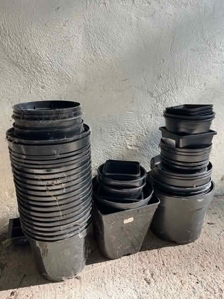 Photo of free Plastic plant pots (Aldfield HG4) #1