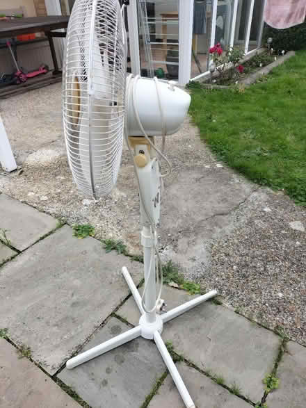Photo of free Matsui Floor Standing Fan (Waterlooville PO7) #2