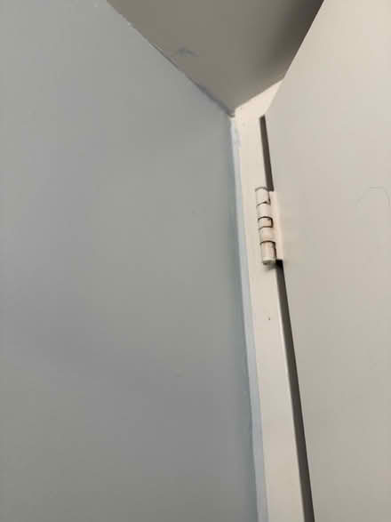 Photo of free 1 gallon of designer paint (Murray Hill near the UN) #1