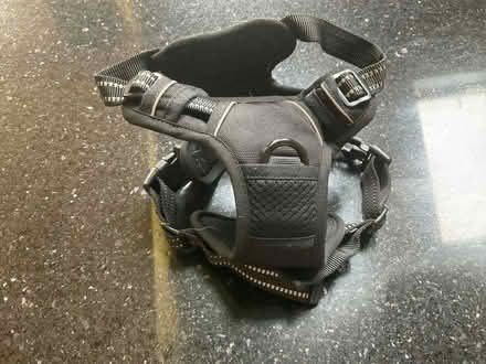 Photo of free Dog Harness (Melksham Without SN12) #2
