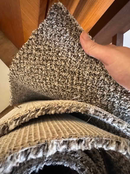 Photo of free Carpet scrap - 400cm x 45cm (Wisewood S6) #1