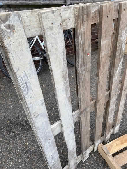 Photo of free Wooden Palettes (E18) #3