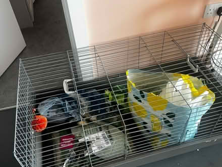 Photo of free Rabbit/guinea Pig cage (Kidbrooke SE3 9SU) #3
