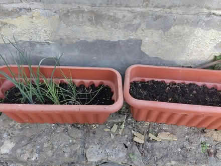 Photo of free Two big plant pots with soil (BA2) #2
