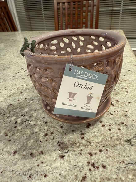 Photo of free Orchid and Pot (Somerset, NJ) #1