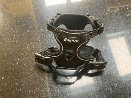Photo of free Dog Harness (Melksham Without SN12) #1
