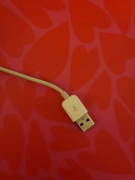 Photo of free Old school Apple charging cord (Hill East) #3