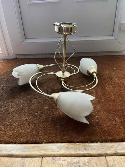 Photo of free Two ceilings lights (Linslade LU7) #1