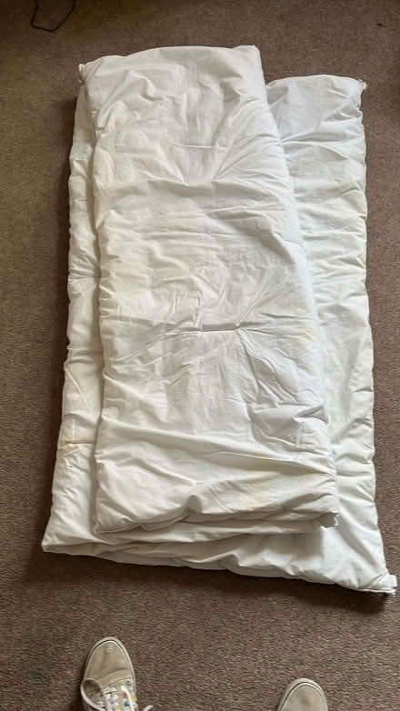 Photo of free 13.5 single duvet (Westerhope) #1