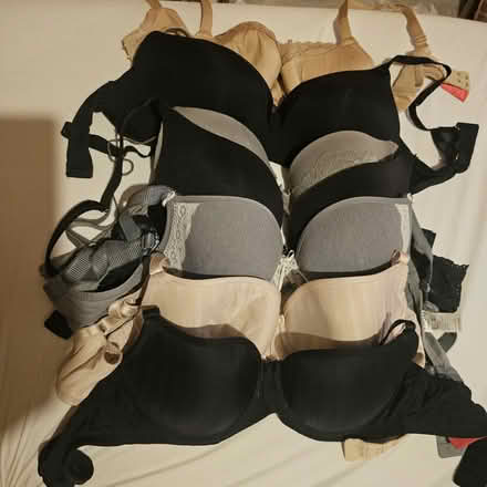 Photo of free Seven bras (NW5 Kentish Town) #1