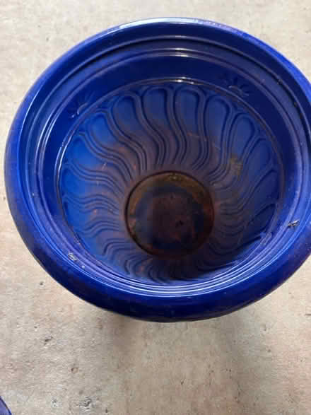 Photo of free Planters (G72 8QU) #2