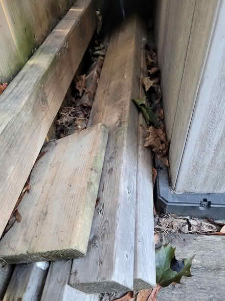 Photo of free Random, various wood / lumber (Port Colborne, ON) #1