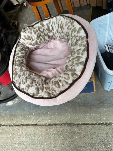 Photo of free Cat bed (Pinehurst) #1