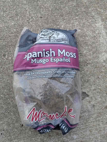 Photo of free Spanish moss (63rd& main, DG) #1