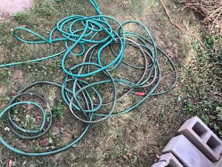Photo of free 2 hoses (Brightwood, Washington D) #1