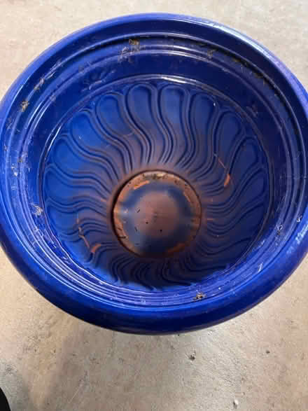 Photo of free Planters (G72 8QU) #4