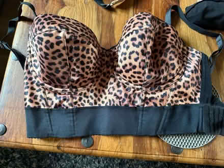 Photo of free Brand New 40C Bra (Stanford in the Vale SN7) #1