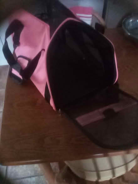Photo of free Cat carrier (Hedge End SO30) #1