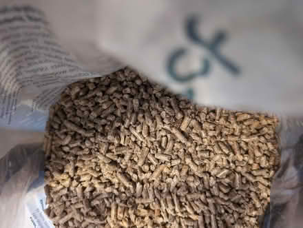 Photo of free Wood pellet cat litter (SL6 Maidenhead) #2