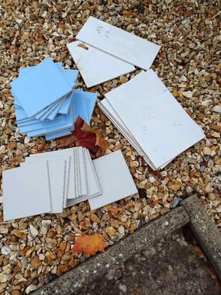 Photo of free Tiles (Randlay TF3) #1