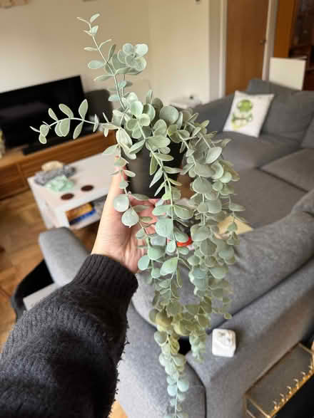 Photo of free Faux plant (Wisewood S6) #1