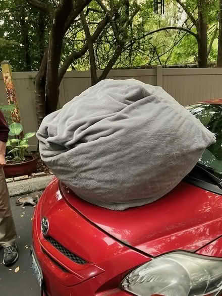 Photo of free Large bean bag (Lake Forest Park) #1