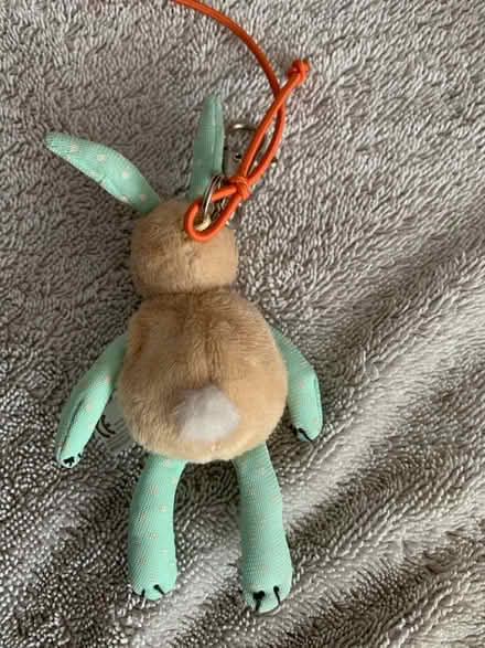 Photo of free Bunny with clip (High Wycombe HP13) #4