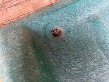 Photo of free Slide (Kings Hill ME19) #2