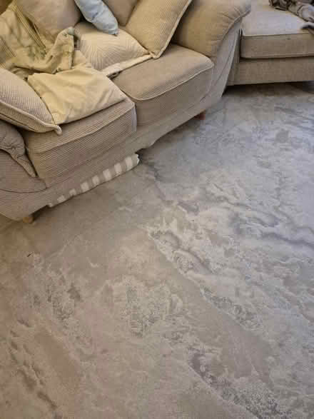 Photo of free Large rug (SW12 Balham) #2