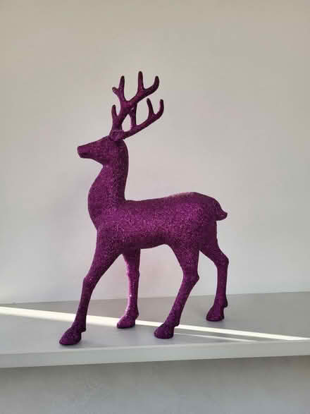 Photo of free Christmas bits (Sidcup DA15) #2