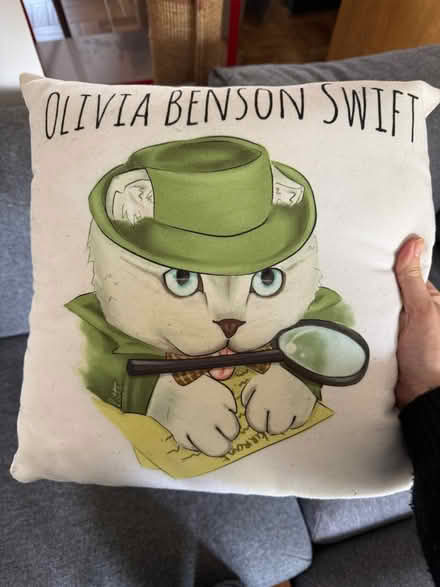 Photo of free Olivia Benson Swift pillow (Wisewood S6) #1